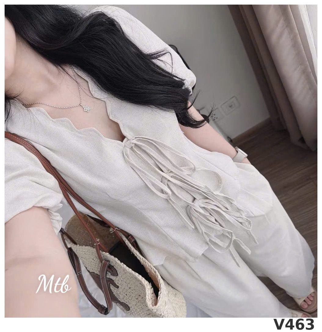 V463