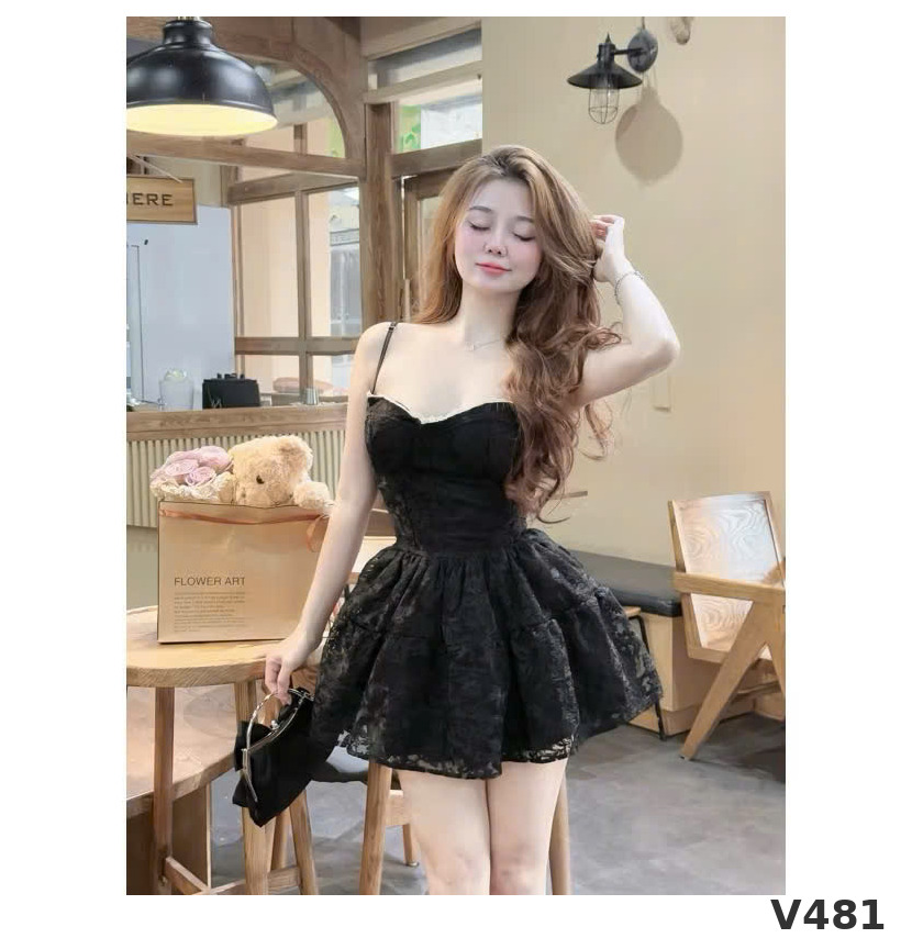 V481